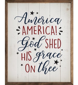 America God Shed His Grace Whitewash